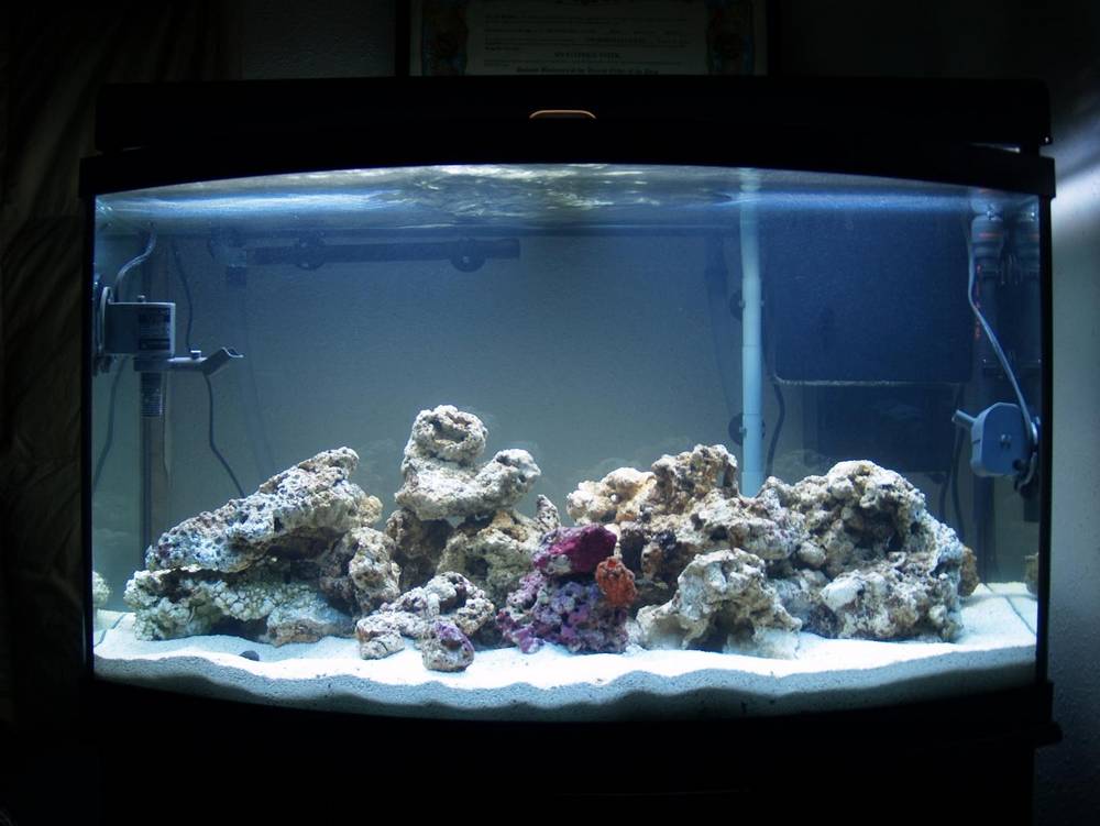 Just starting out