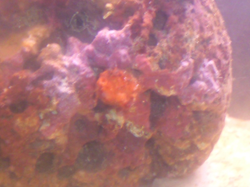 what is this?
