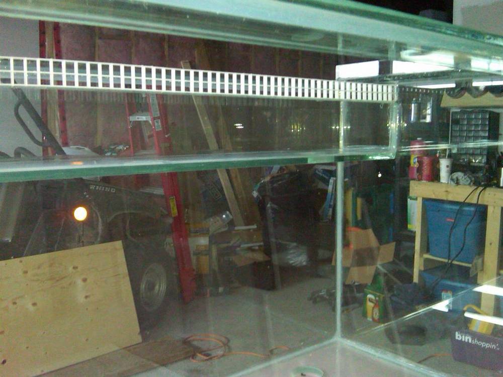 custom 220g tank