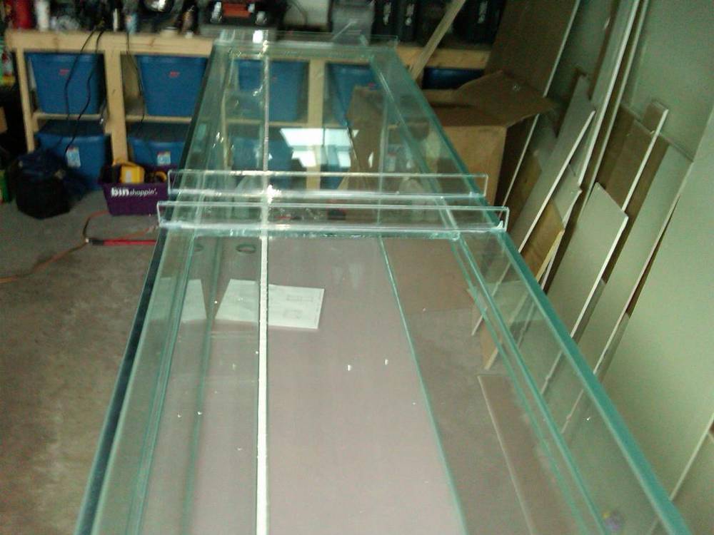 custom 220g tank