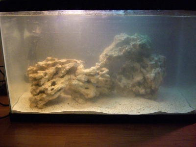 My first saltwater tank. 10 gallons w/ 7.25 lbs LR and 10 lbs LS.