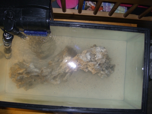 By happy accident I love the serpentine shape the rock-work took. This was the first and only...