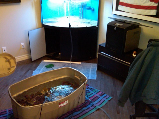 tank pics