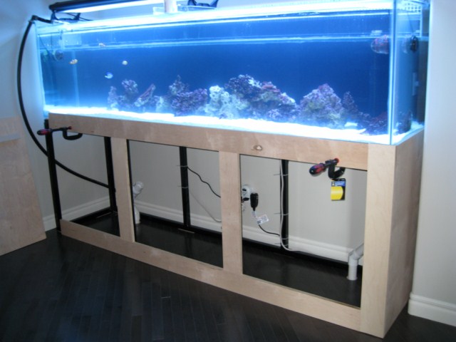 tank pics