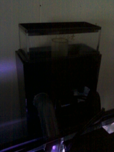 how i set up my skimmer and i think its not working