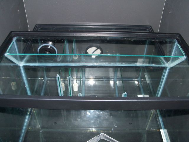 biocube
