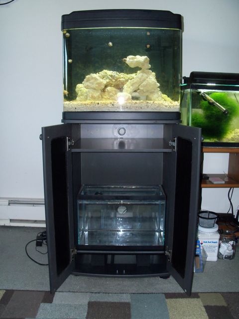 biocube