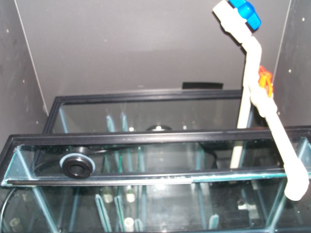 Sump and refugium plumbing in biocube