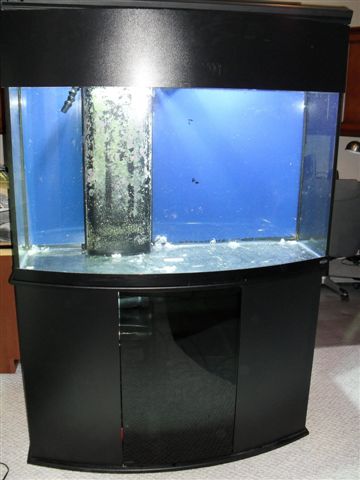 New Tank