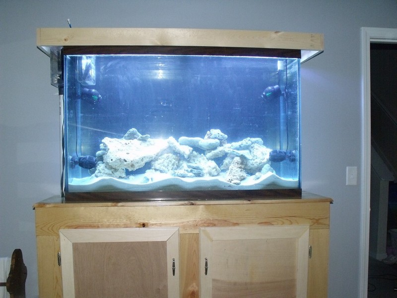 setting up my 125 gal tank. bedroom view