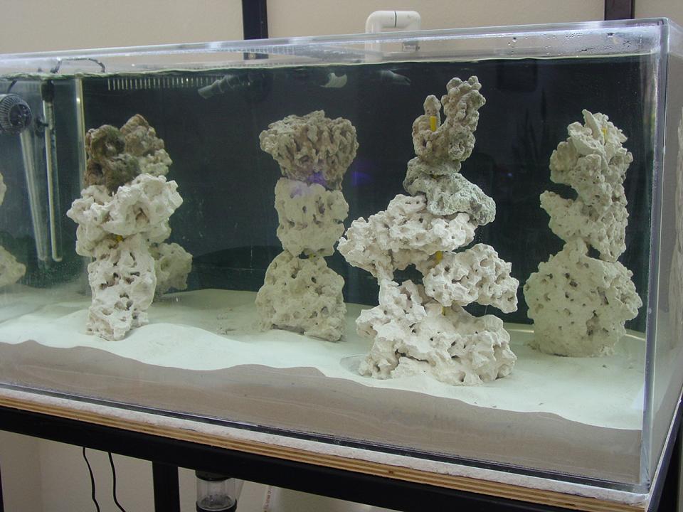 120 gal 48x24x24