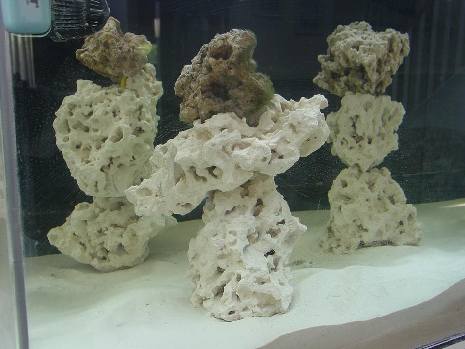 120 gal 48x24x24, 3 pillars left side
