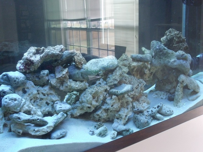 rock scape