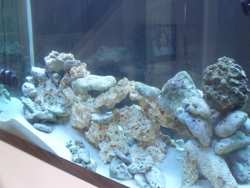 rock scape
