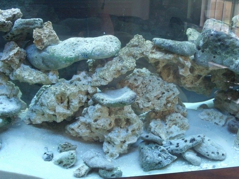 rock scape