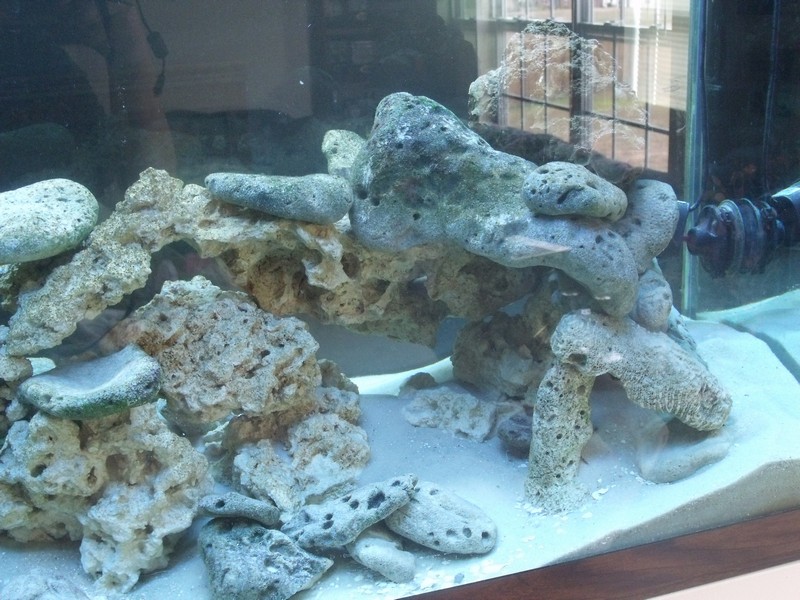 rock scape