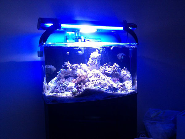 The tank <img src="styles/default/xenforo/clear.png" class="mceSmilieSprite mceSmilie1" alt=":)"...