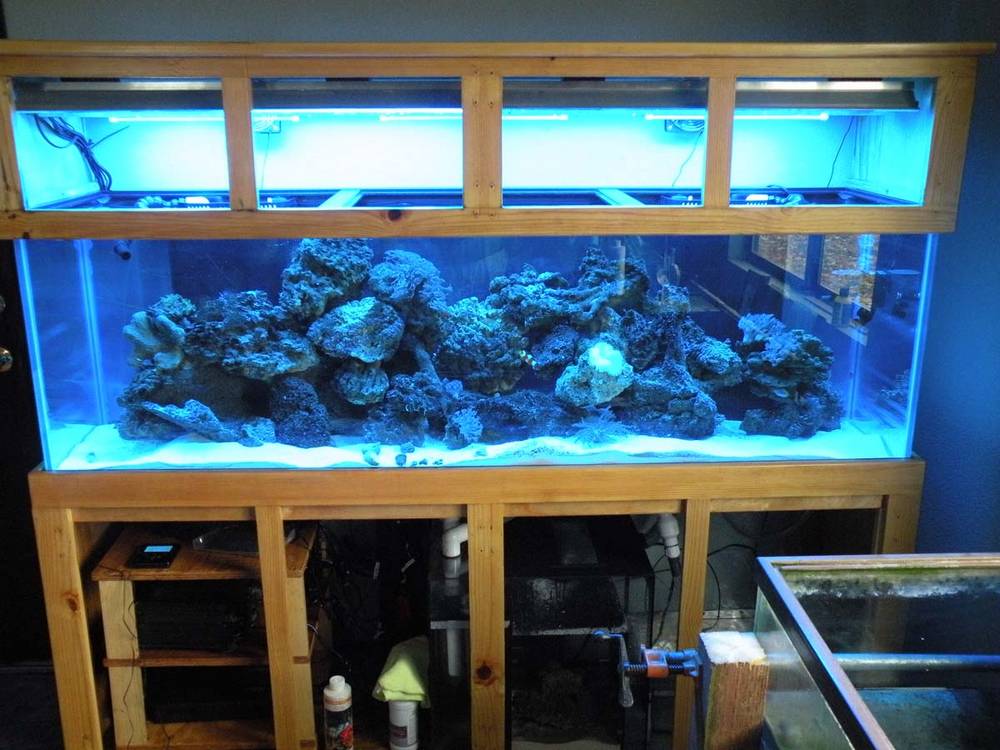 My Reef Tank - Right after setup before doors got put back on. New tank, new lights, new sump, new...