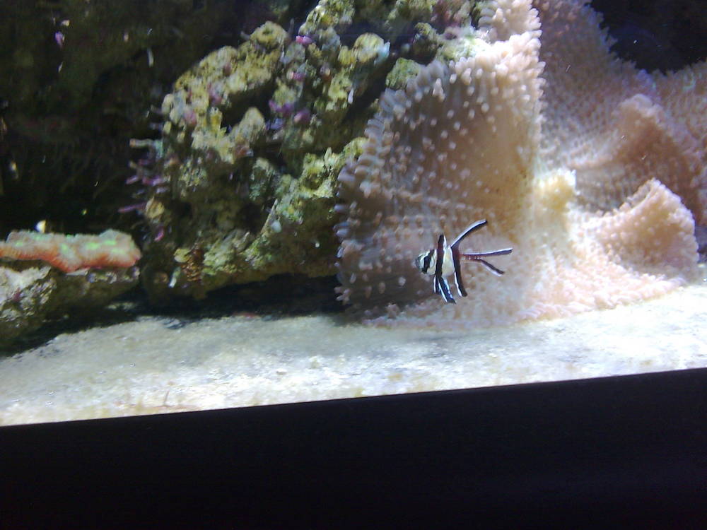 Baby still around