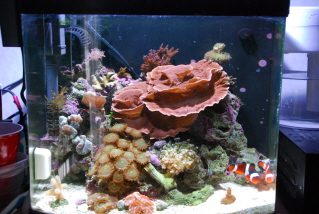 12g nano from 2008