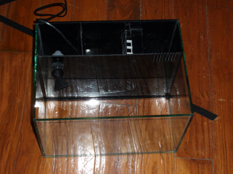 The pico tank!