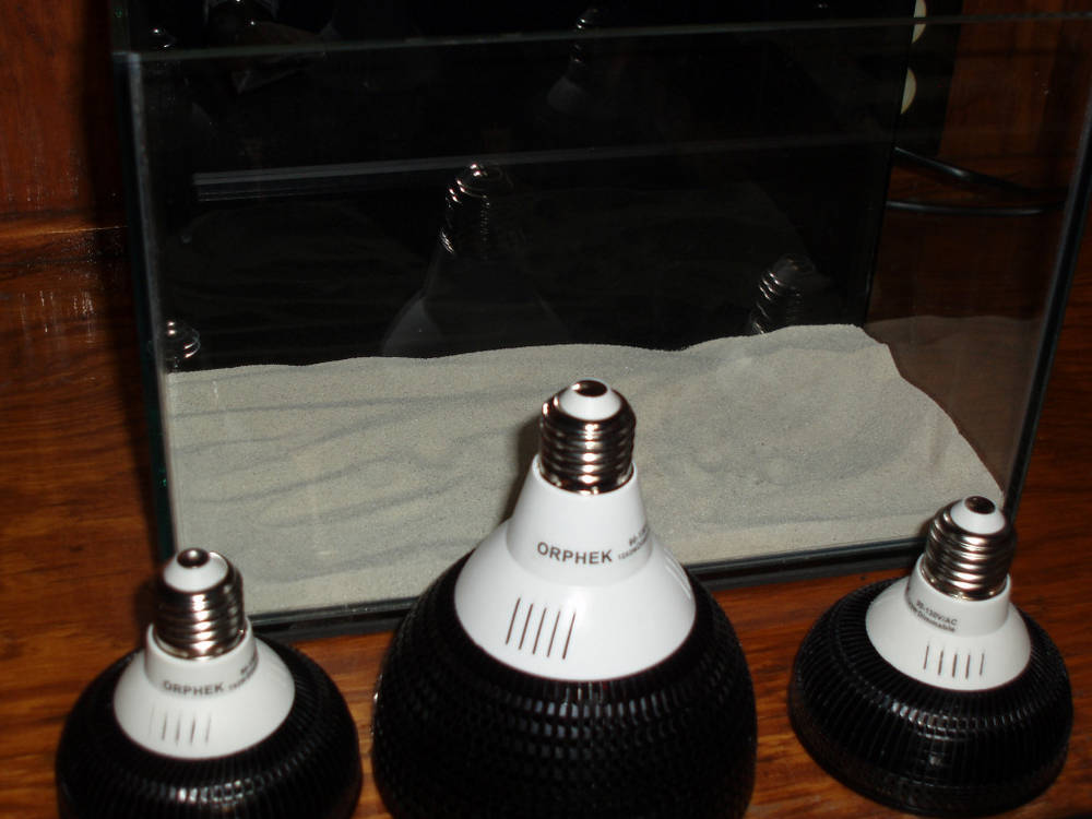 These lights are the Orphek pendants.  Starting left to right is the PAR30 with 3UV and 4 blue,...
