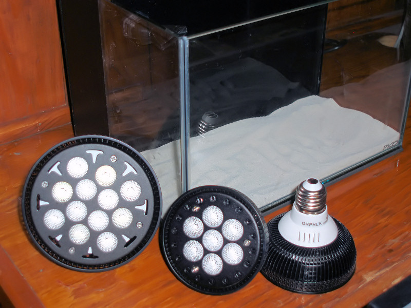 These lights look great on and are so cheap so run.  These are made specifically to grow sps and...