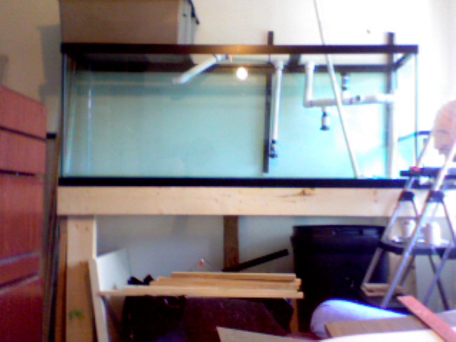 My in Progress 150gal Reef ( 3rd floor Apt.! ). I use the Juabert Plenum system &amp; so far , I...