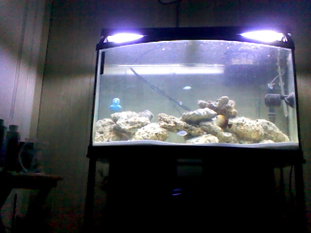 my tank
