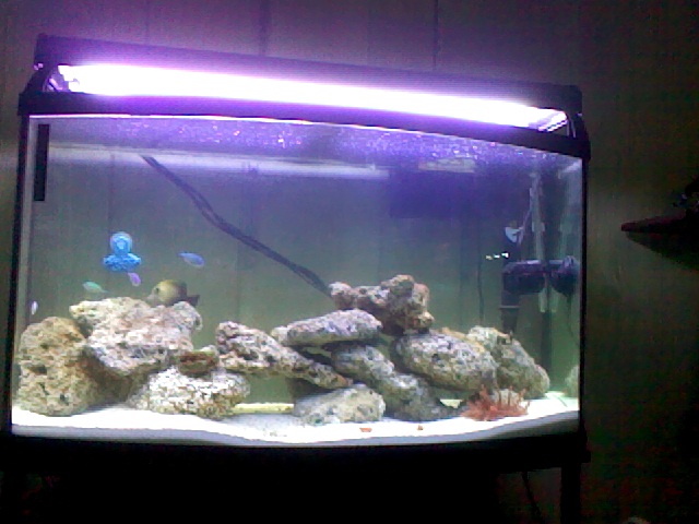 my tank