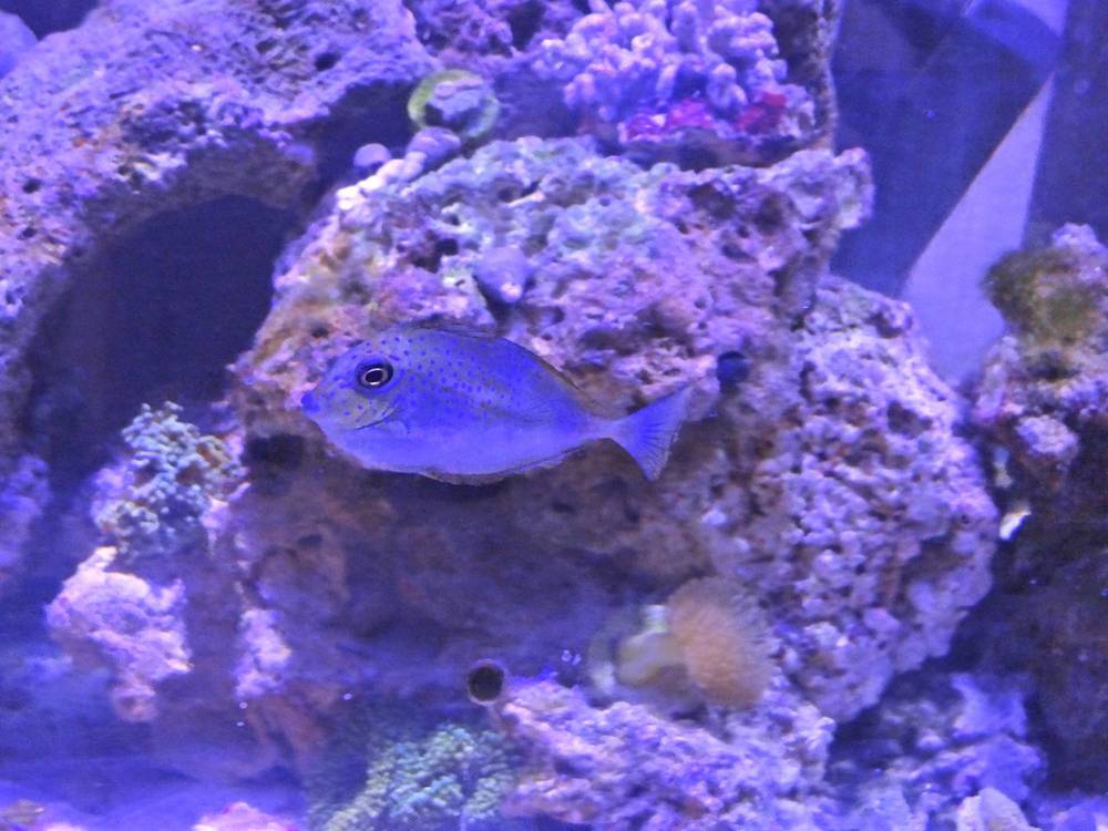 This little guy never stops moving...