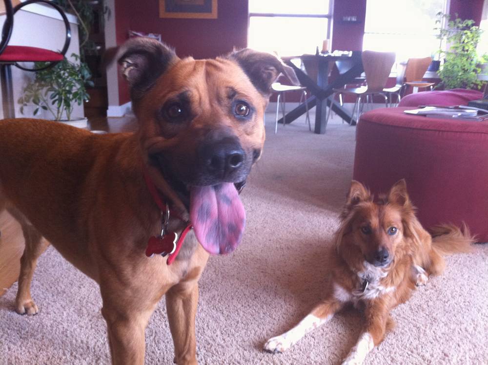 Rufus and Bonnie