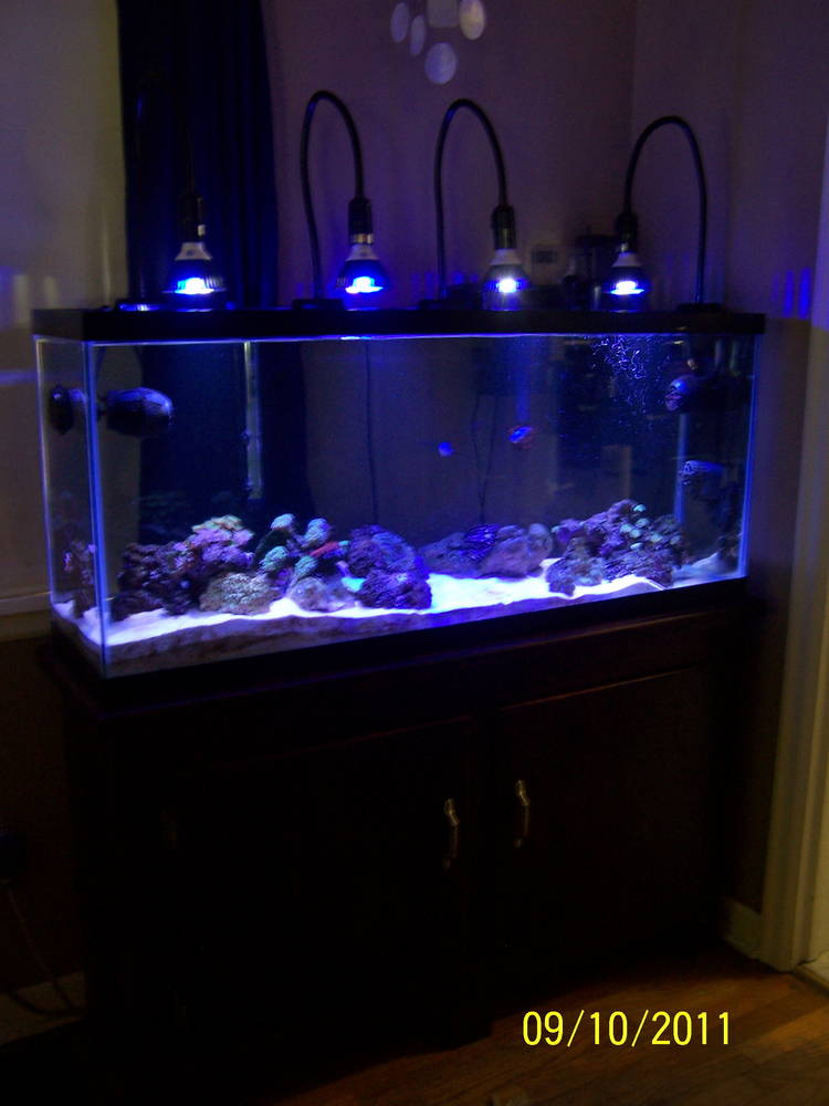 Stand was gotten on Freecycle..free but was a mess. It&#039;s homemade really well but needed...