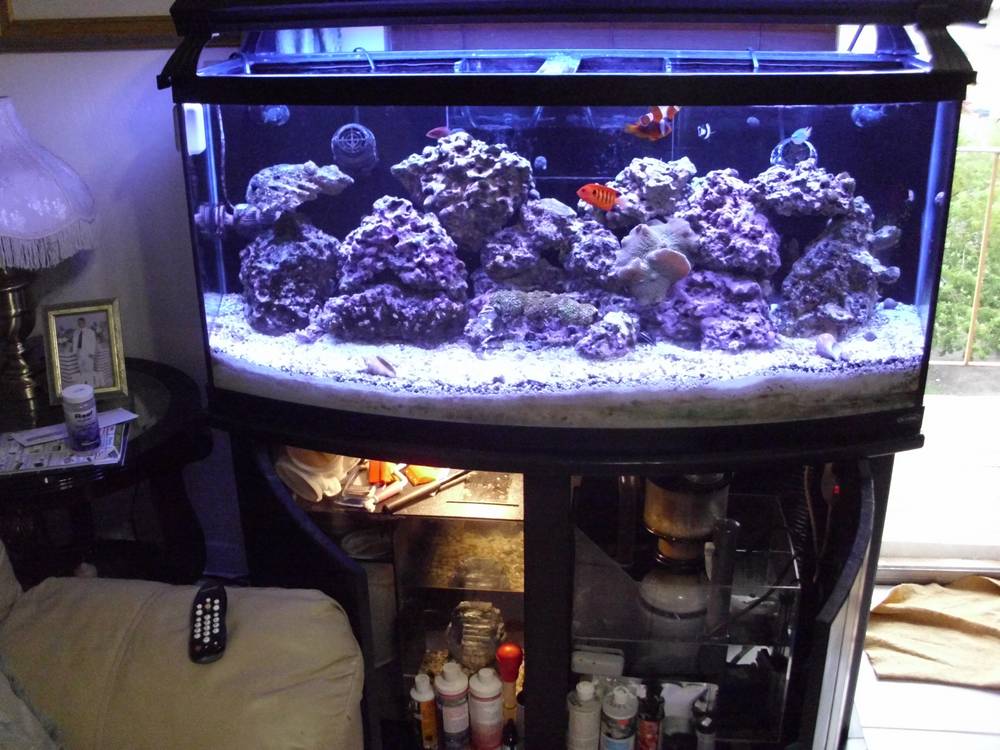 FTS Sump