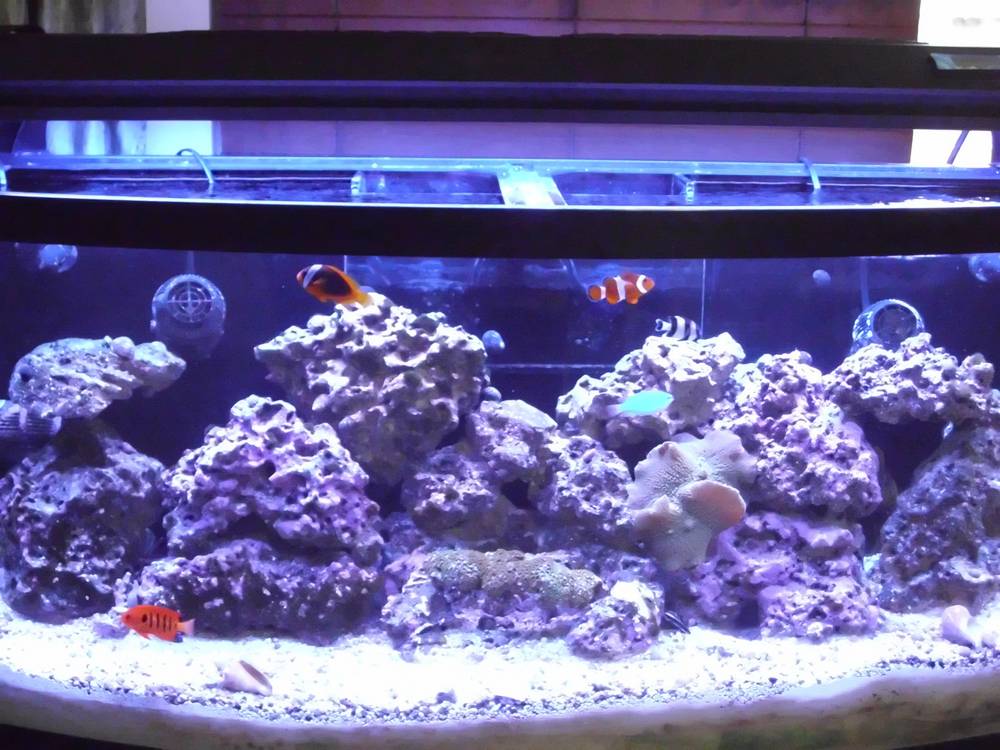 FTS @ 8 months