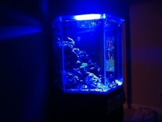 aquaUFO 90W LED