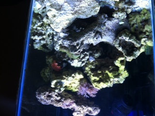 few frags