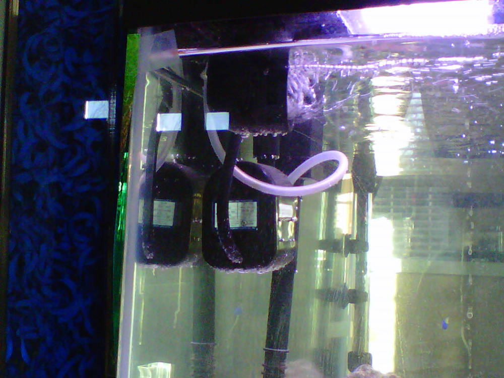 this is the side view of the aquarium