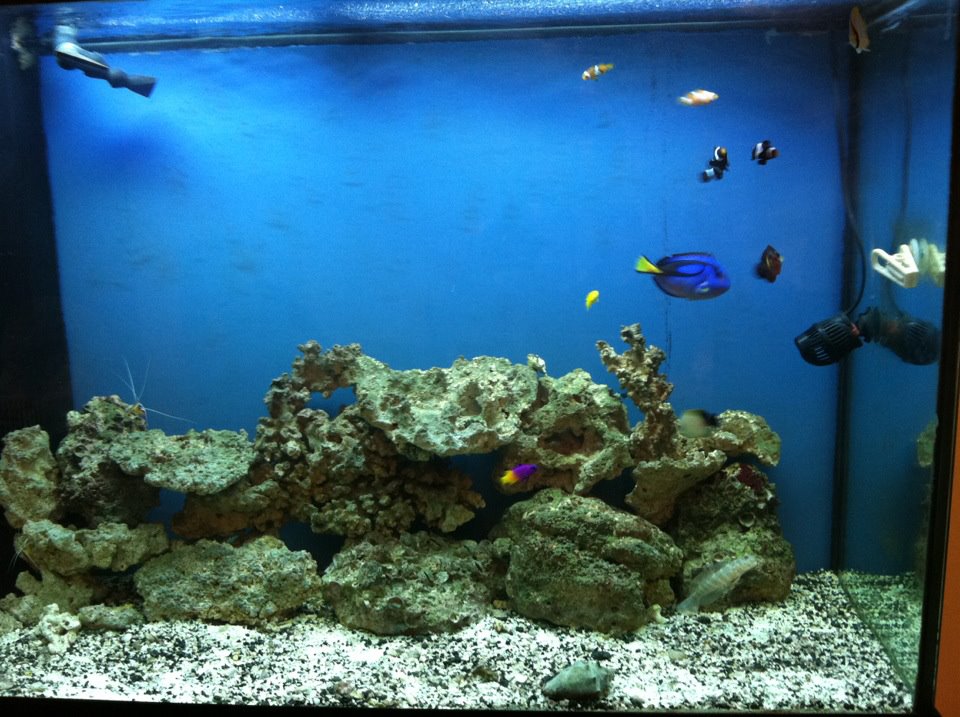 110g established oct2011