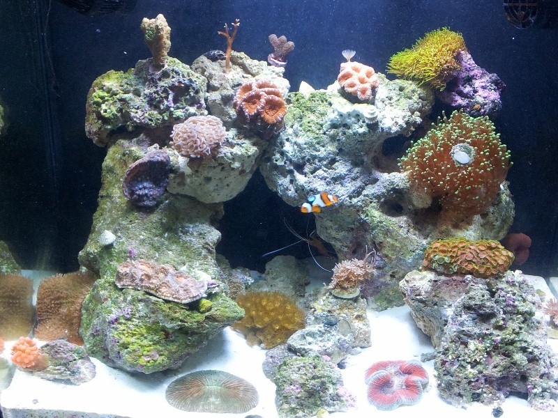 I only need a few more select pieces. What do yall think it looks like and what select pieces...