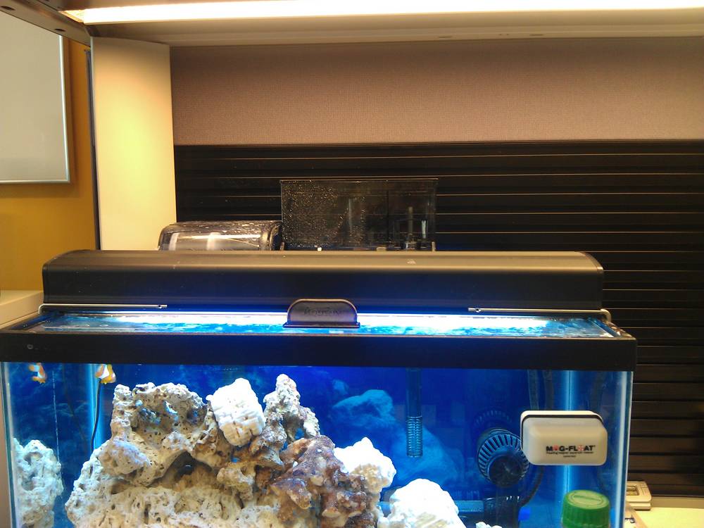 picture of the hob equipment on my tank