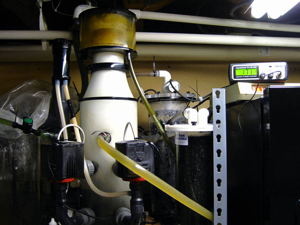 Hydor 1005 rated for 300 with full bio load and georeef ozone reactor