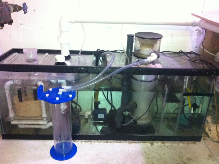 55Gl,1.7 Liter Np Pellets