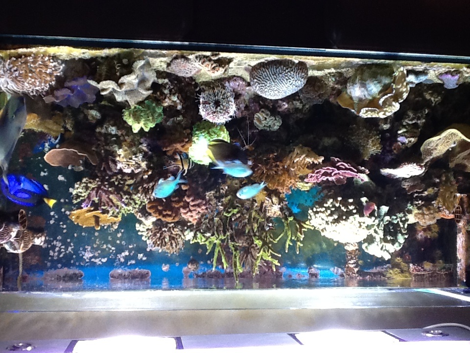 New layout after 4years