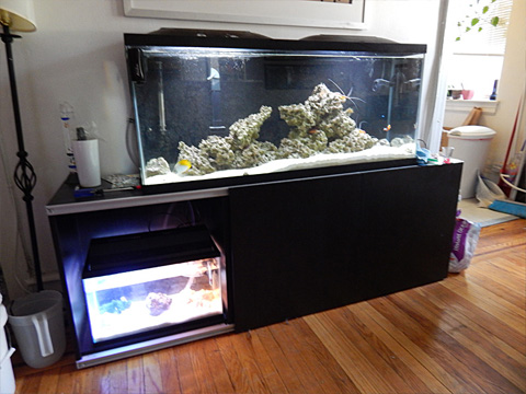 tank