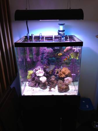 our 50 gallon