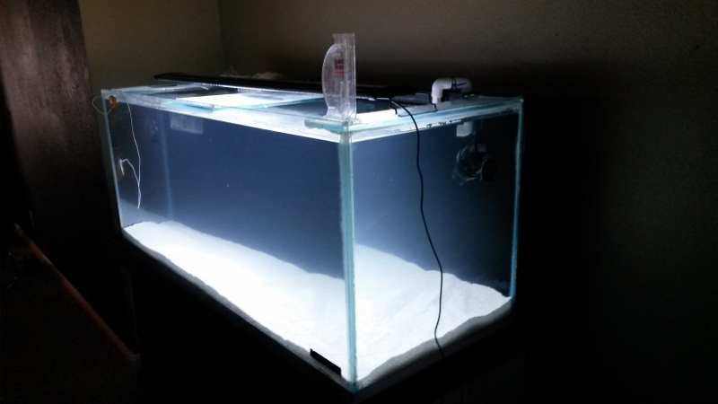 new tank progression