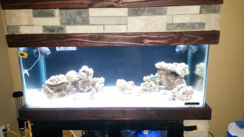 new tank progression