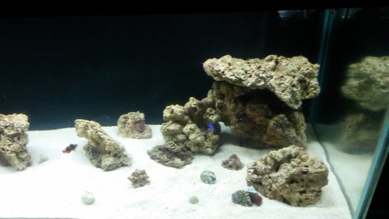 new tank progression