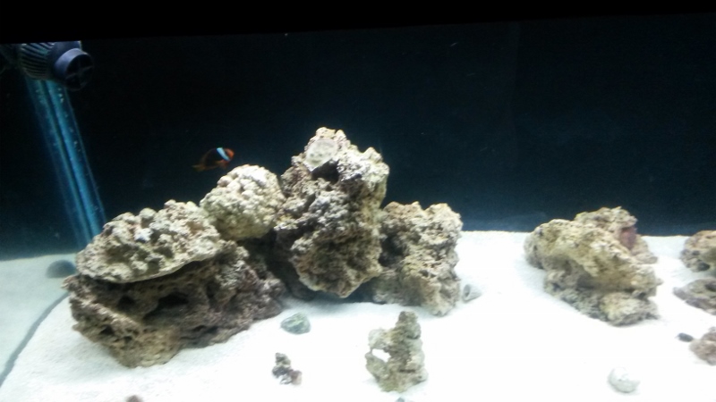 new tank progression